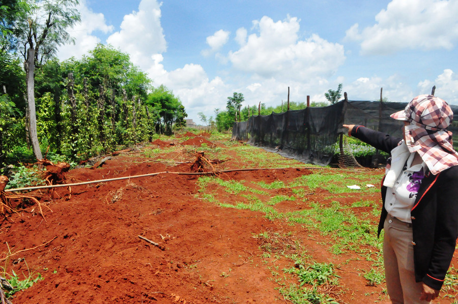 Gia đình chị đã tự nguyện hiến trên 1.500m2 đất để xã mở đường. Ảnh: Mai Ka Gia đình chị đã tự nguyện hiến trên 1.500m2 đất để xã mở đường. Ảnh: Mai Ka