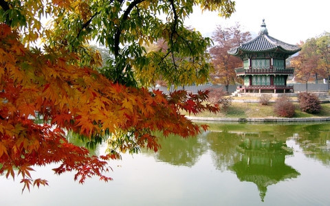  Thành phố Seoul. Ảnh: AP