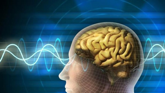 Ảnh minh họa Ảnh minh họa