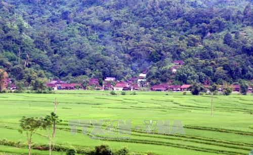 “Làng cổ” của người Tày ở thông Đống Đa 1.