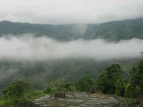 Ngọc Linh nằm giữa lưng chừng mây, mang trong lòng nhiều điều huyền bí Ngọc Linh nằm giữa lưng chừng mây, mang trong lòng nhiều điều huyền bí