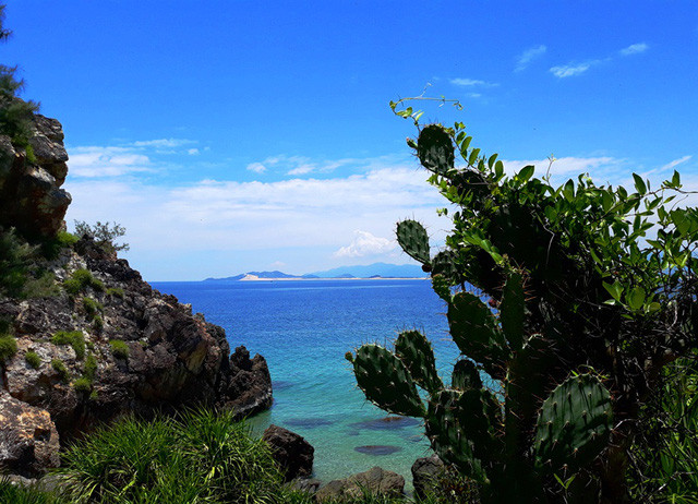 Thiên nhiên Mũi Rồng còn hoang sơ.