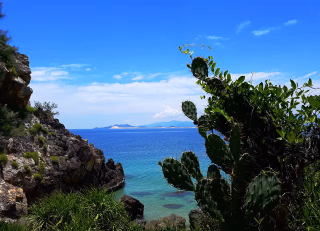 Thiên nhiên Mũi Rồng còn hoang sơ.