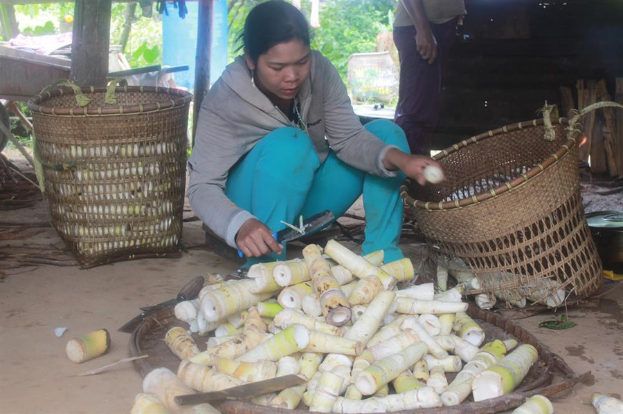 Măng lấy từ rừng xong, phải gọt vỏ, nấu chín... bán mới có giá.