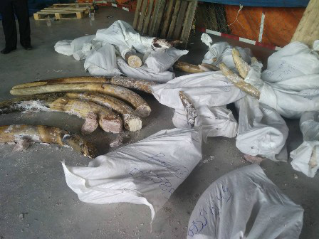 Ảnh minh họa (nguồn internet)