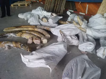 Ảnh minh họa (nguồn internet)