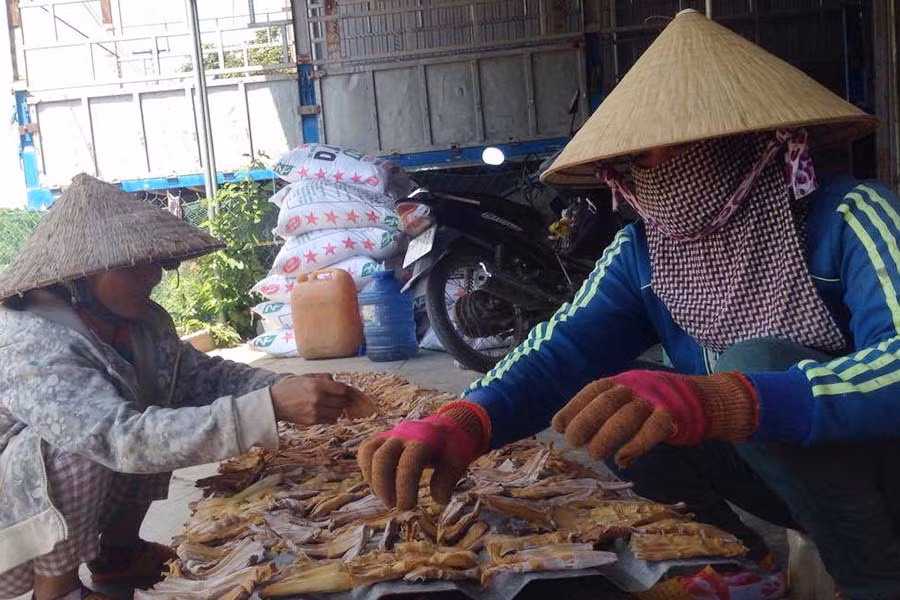  Chị Nguyễn Thị Cường trở măng để đem phơi. Ảnh: Nguyễn Hiền