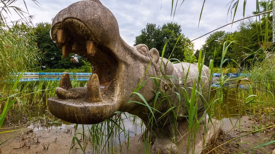 Spreepark được khánh thành vào năm 1969 nhân kỷ niệm 20 năm thành lập Cộng hòa Dân chủ Đức, tên chính thức của Đông Đức. Nó bị đóng cửa vào năm 2002 và trở thành một công viên bỏ không, hoang vắng và đáng sợ cho đến ngày nay.