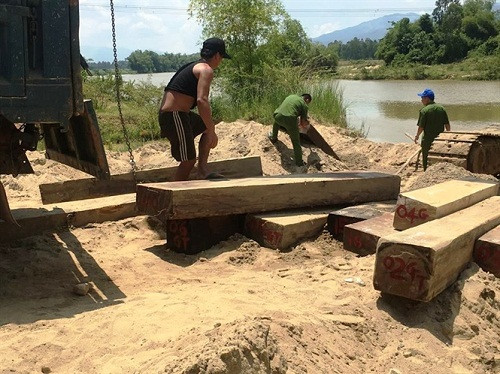 Quảng Nam vận chuyển gỗ lậu bị phát hiện lâm tặc nhảy sông trốn chạy.