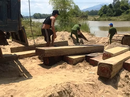Quảng Nam vận chuyển gỗ lậu bị phát hiện lâm tặc nhảy sông trốn chạy.