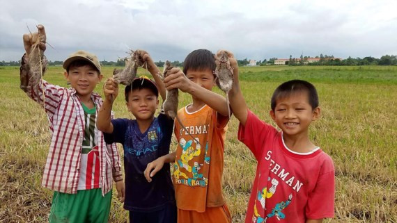 Vui sướng với “chiến lợi phẩm”. Vui sướng với “chiến lợi phẩm”.