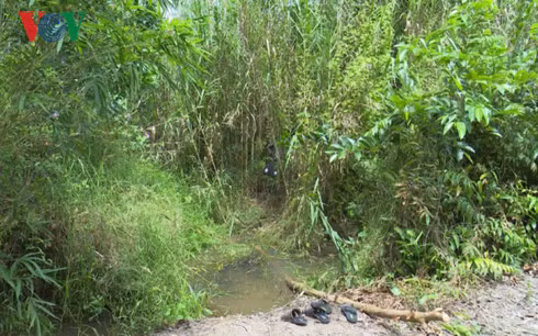  Nơi phát hiện thi thể bé gái.