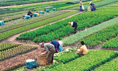 Ảnh minh họa Ảnh minh họa