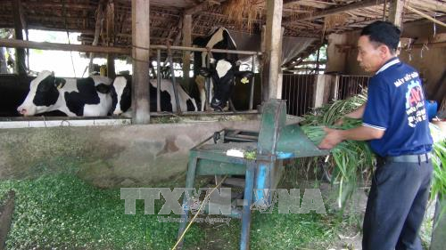 Ảnh minh họa Ảnh minh họa