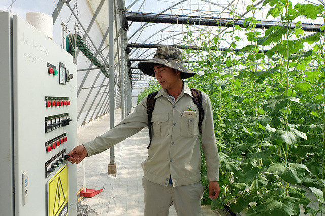 Kỹ sư Nguyễn Đức Dũng thao tác trên hệ thống điều khiển nhà kính trồng dưa lưới hiện đại