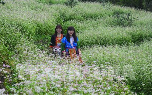 "Sắc thắm Pha Đin". "Sắc thắm Pha Đin".