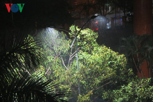 Suốt đêm, tại Thanh Hóa có mưa vừa đến mưa to ngắt quãng Suốt đêm, tại Thanh Hóa có mưa vừa đến mưa to ngắt quãng