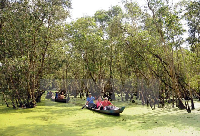 Khu du lịch sinh thái rừng tràm Trà Sư thuộc xã Van Giáo, huyện Tịnh Biên, An Giang, là khu bảo tồn thiên nhiên sinh thái tiêu biểu, độc đáo vùng Đồng bằng sông Cửu Long. (Ảnh: An Hiếu/TTXVN)