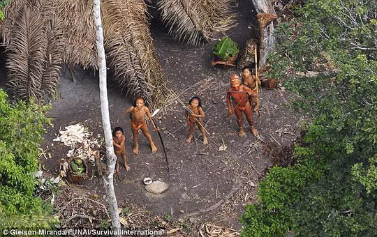 10 thành viên của một bộ lạc sống cô lập trong rừng Amazon có thể đã bị một nhóm công nhân mỏ sát hại. Ảnh: Funai