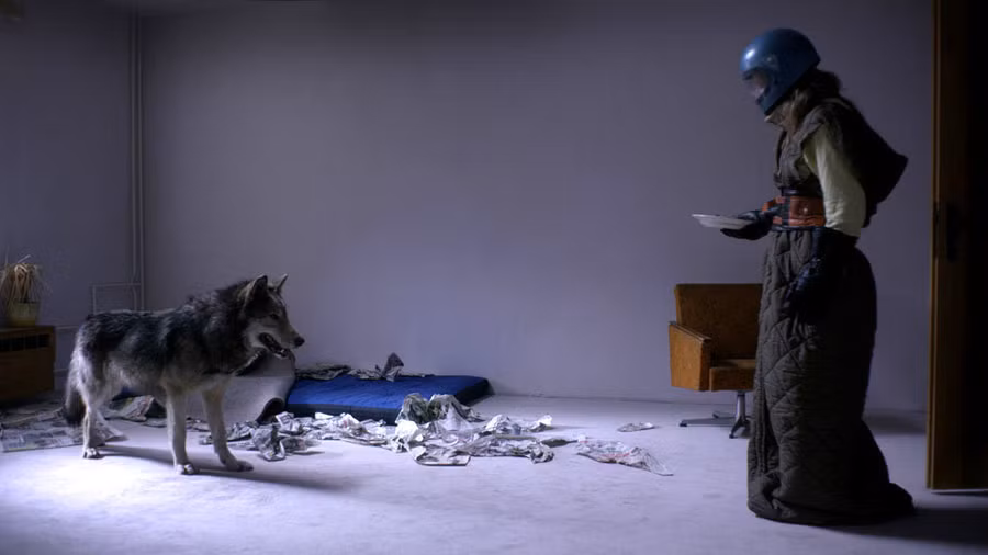 Ania trang bị tận 