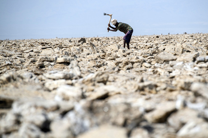 Một công nhân mỏ muối đang lao động dưới cái nóng hầm hập ở Dallol. Ảnh: Getty.