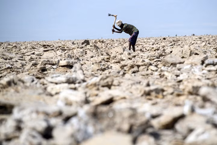 Một công nhân mỏ muối đang lao động dưới cái nóng hầm hập ở Dallol. Ảnh: Getty.