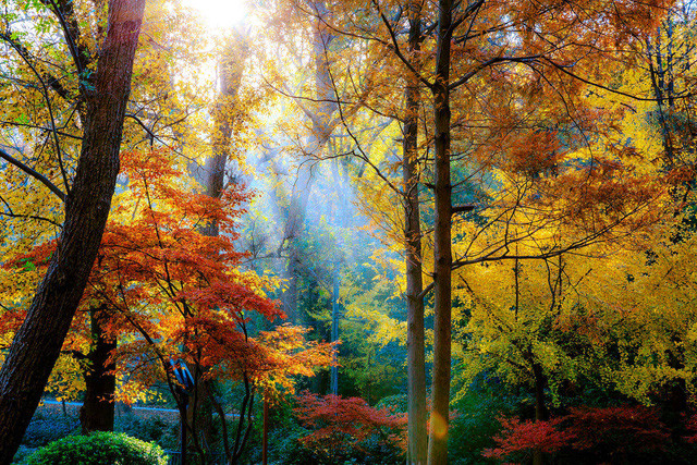  Núi Qixiashan ở Giang Tô. Ảnh: Ninaxx/Dreamstime