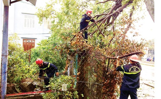 Cảnh sát PCCC tỉnh Thừa Thiên - Huế thu dọn cây xanh sau bão.