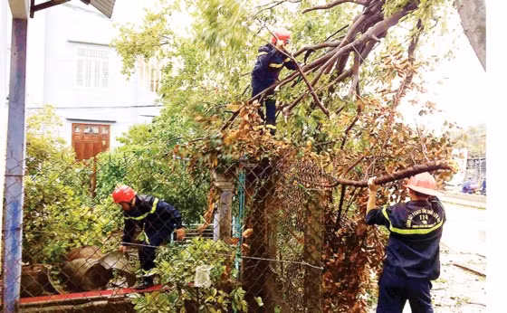 Cảnh sát PCCC tỉnh Thừa Thiên - Huế thu dọn cây xanh sau bão.