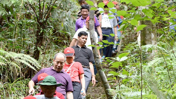 Du khách khám phá núi rừng Bạch Mã bằng đường mòn Du khách khám phá núi rừng Bạch Mã bằng đường mòn