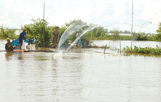Bủa lưới mùa nước nổi. Bủa lưới mùa nước nổi.