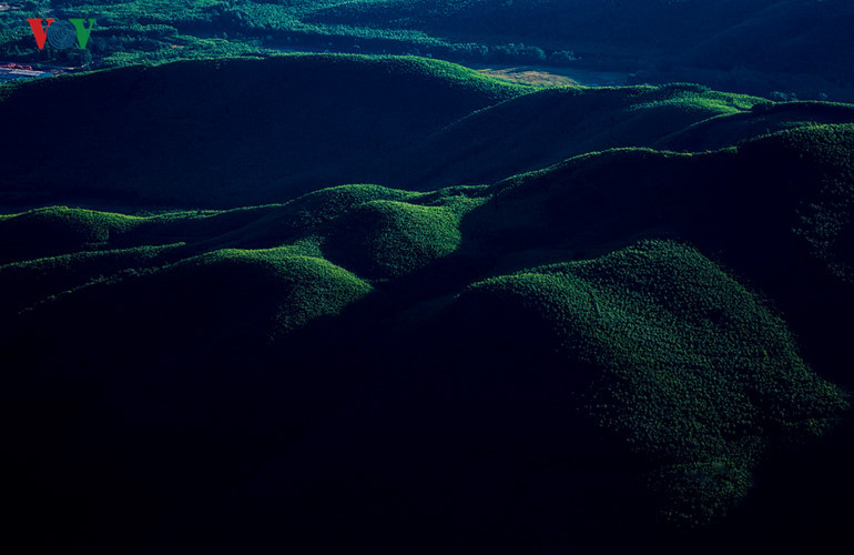 Những cánh rừng keo lá tràm trông thật thơ mộng phía xa xa. 