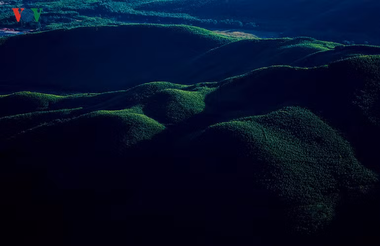 Những cánh rừng keo lá tràm trông thật thơ mộng phía xa xa. 
