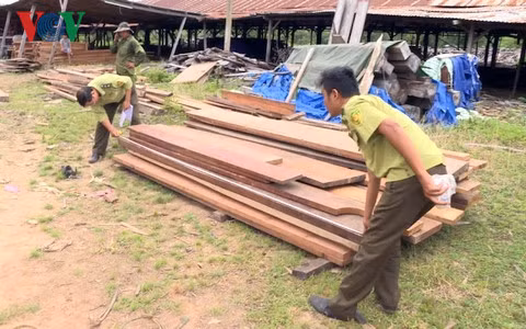 Lực lượng chức năng đã lập biên bản tạm giữ 40m3 gỗ lậu cùng phương tiện.