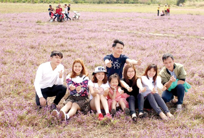 Cánh đồng hoa tím thu hút nhiều bạn trẻ tìm đến.