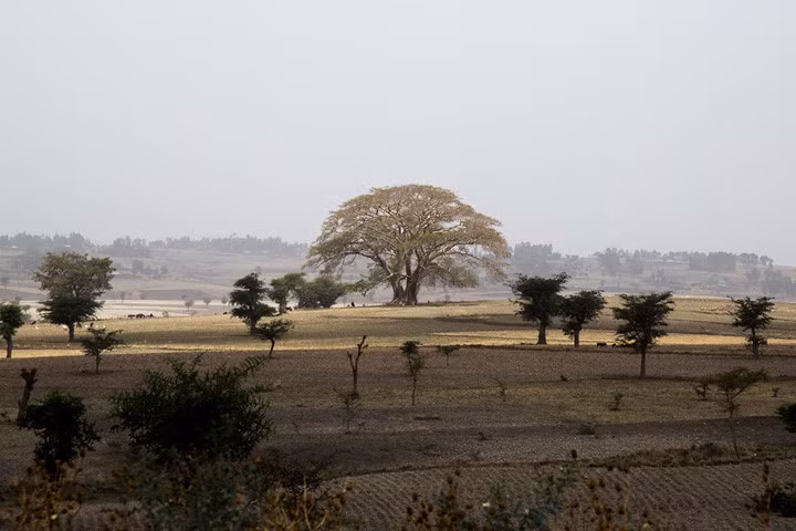 Khu vực đồng bằng gần Alaba Kuito, Ethiopia. Ảnh: Corbis.