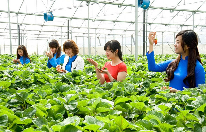 Du khách trải nghiệm điểm du lịch canh nông tại TP Đà Lạt.