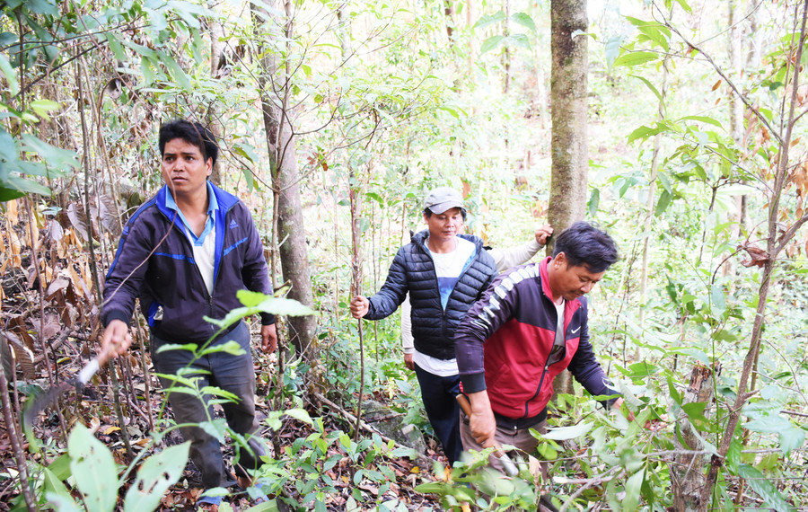 Người dân xã Kon Chiêng tham gia tuần tra bảo vệ diện tích rừng nhận khoán. Ảnh: Minh Nguyễn Người dân xã Kon Chiêng tham gia tuần tra bảo vệ diện tích rừng nhận khoán. Ảnh: Minh Nguyễn