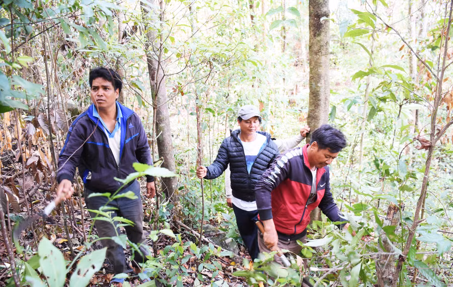 Người dân xã Kon Chiêng tham gia tuần tra bảo vệ diện tích rừng nhận khoán. Ảnh: Minh Nguyễn