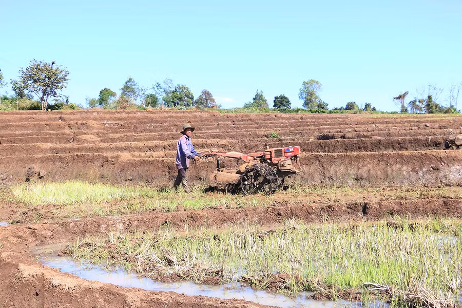  Cơ cấu cây trồng, vật nuôi được chuyển đổi theo hướng đa canh, đa con. Ảnh: Nguyễn Diệp