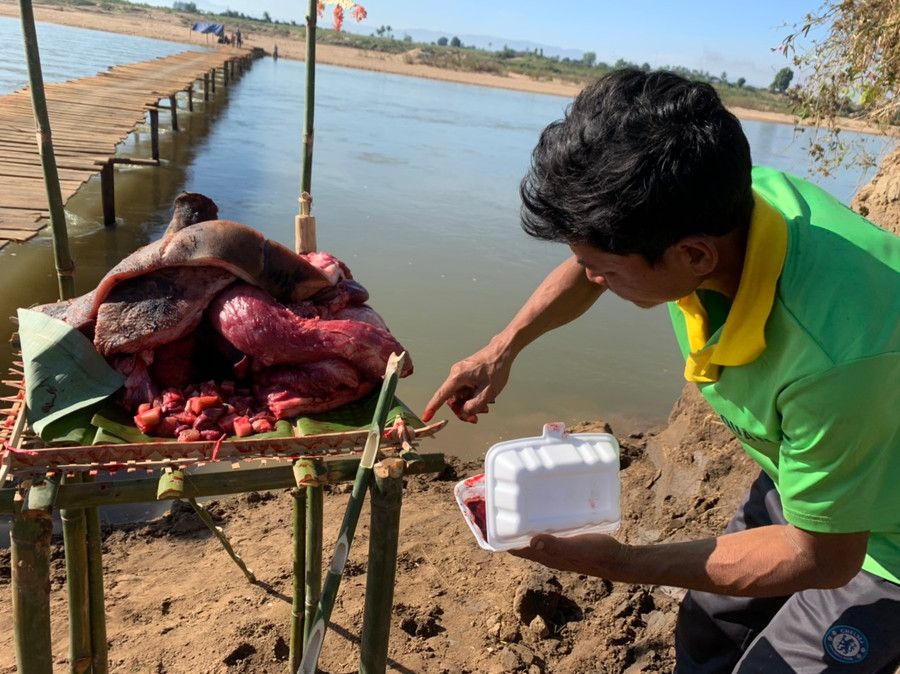 4.Tiết heo được quết đều xung quanh mâm lễ vật để dâng lên các vị thần.