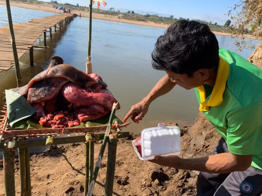 4.Tiết heo được quết đều xung quanh mâm lễ vật để dâng lên các vị thần.