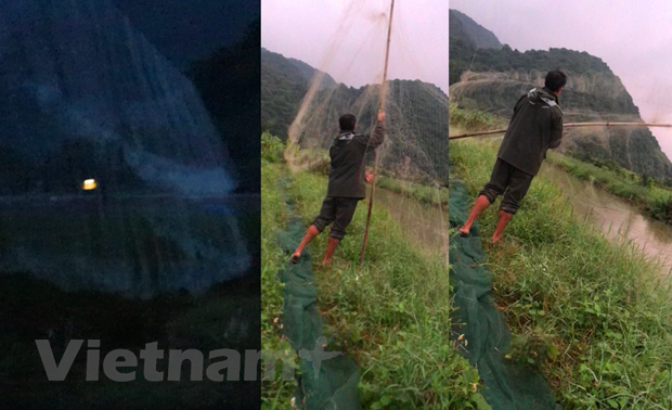 Bẫy lưới tàng hình săn bắt chim được giăng trắng khắp xã Xuân Đám, thị trấn Cát Bà. (Ảnh:PV/Vietnam+)