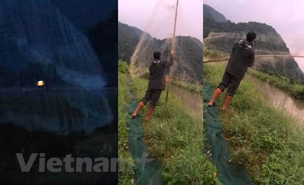 Bẫy lưới tàng hình săn bắt chim được giăng trắng khắp xã Xuân Đám, thị trấn Cát Bà. (Ảnh:PV/Vietnam+)