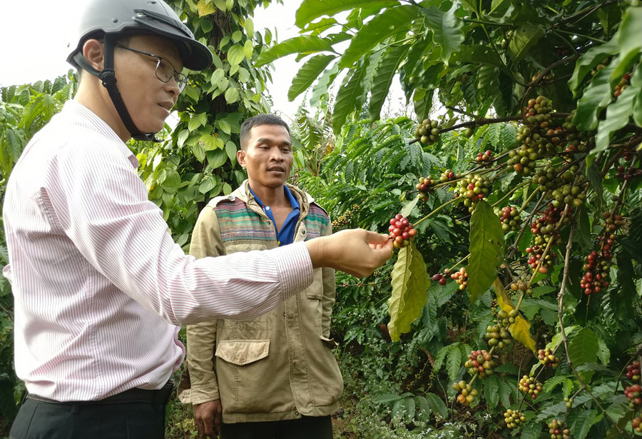 Cán bộ Phòng Giao dịch Ngân hàng CSXH huyện Chư Prông trao đổi kinh nghiệm với anh Đoàn Công Toàn (tổ 6, thị trấn Chư Prông). Ảnh: Sơn Ca