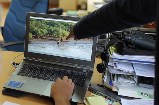 Hình ảnh người dân đi bẫy bắt chim hoang dã di cư ở ven biển quanh đảo Cát Bà. (Ảnh: PV/Vietnam+)