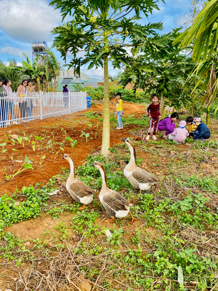Khách thích thú trải nghiệm mô hình du lịch nông trại ngay giữa lòng thành phố. Ảnh: Nguyễn Giang Khách trải nghiệm thích thú với mô hình du lịch nông trại ngay giữa lòng thành phố. Ảnh: Nguyễn Giang
