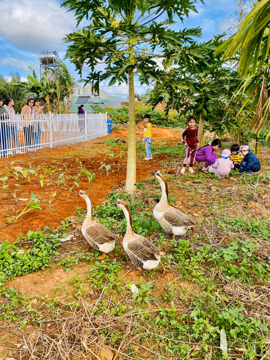  Khách trải nghiệm thích thú với mô hình du lịch nông trại ngay giữa lòng thành phố. Ảnh: Nguyễn Giang