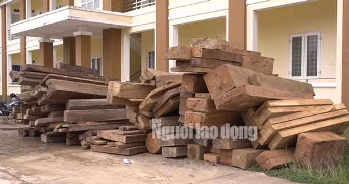 Lực lượng Công an thu giữ hơn 30m3 khối gỗ quý hiếm khi phá chuyên án