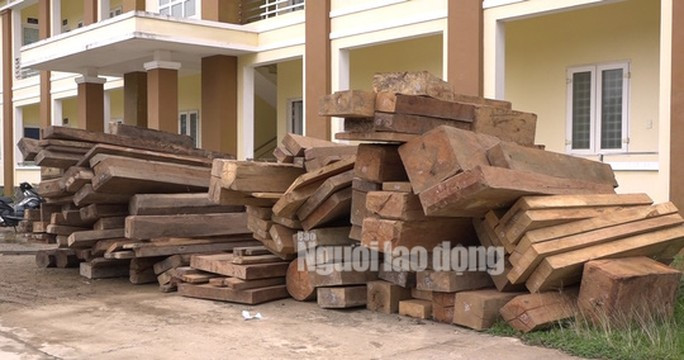 Lực lượng Công an thu giữ hơn 30m3 khối gỗ quý hiếm khi phá chuyên án